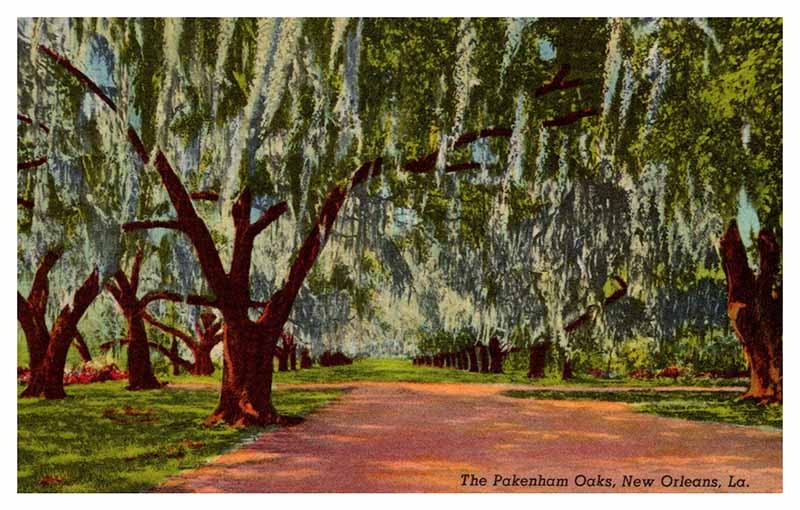Postcard ROAD SCENE New Orleans Louisiana LA m/09 AQ3665