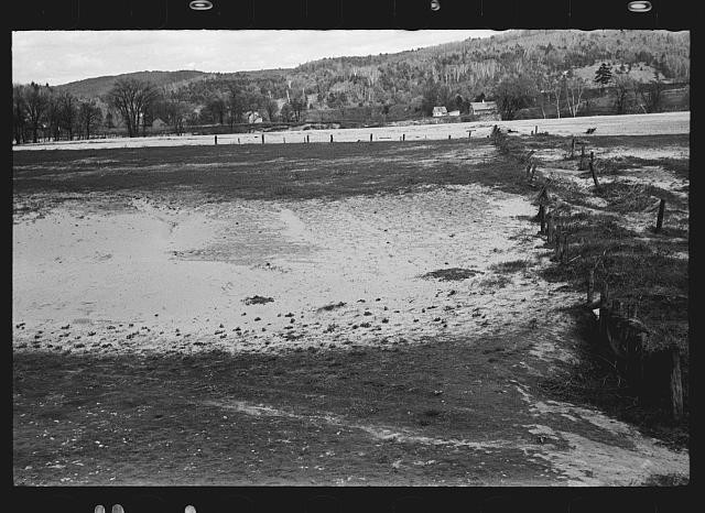 1930s Rural Flooded Field Countryside Landscape Black and White Photo