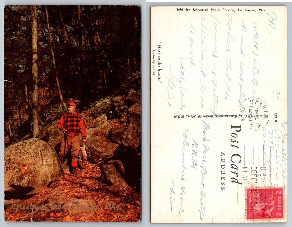 Vintage Hunter Postcard Sparta Wisconsin Forest Scene Rifle Game Plasticchrome