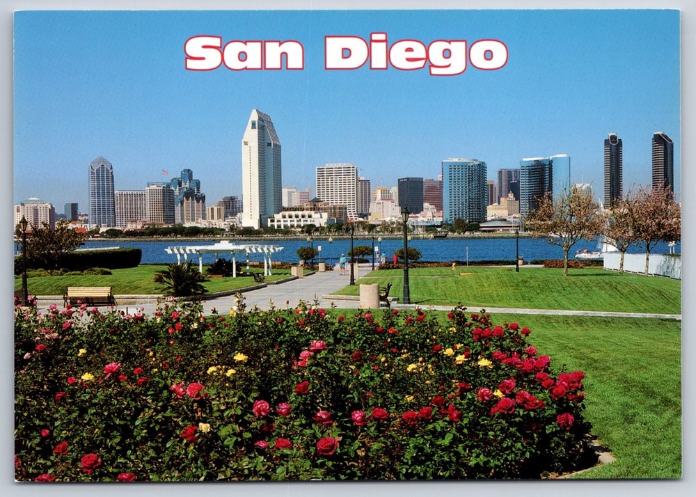 San Diego California Postcard View from Coronado USA Unposted