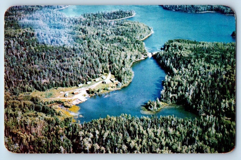 Sioux Narrows Ontario Canada Postcard Caribou Lodge Junction of Caviar c1950's