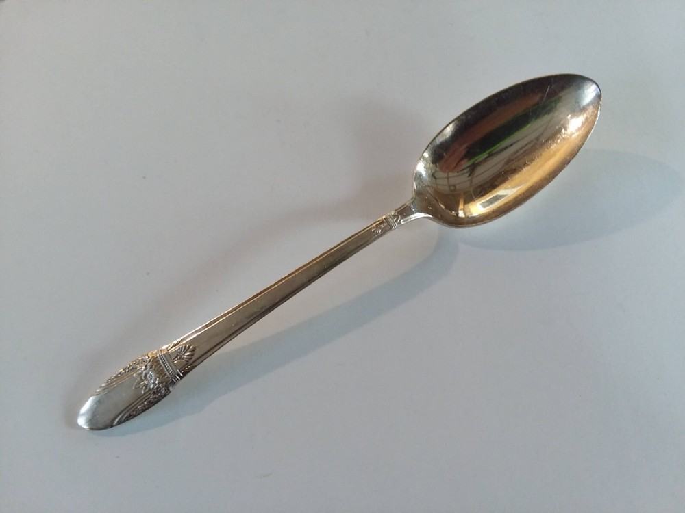 1847 Rogers Bros FIRST LOVE Silverplate Serving Spoon 8½” Buy more than 1