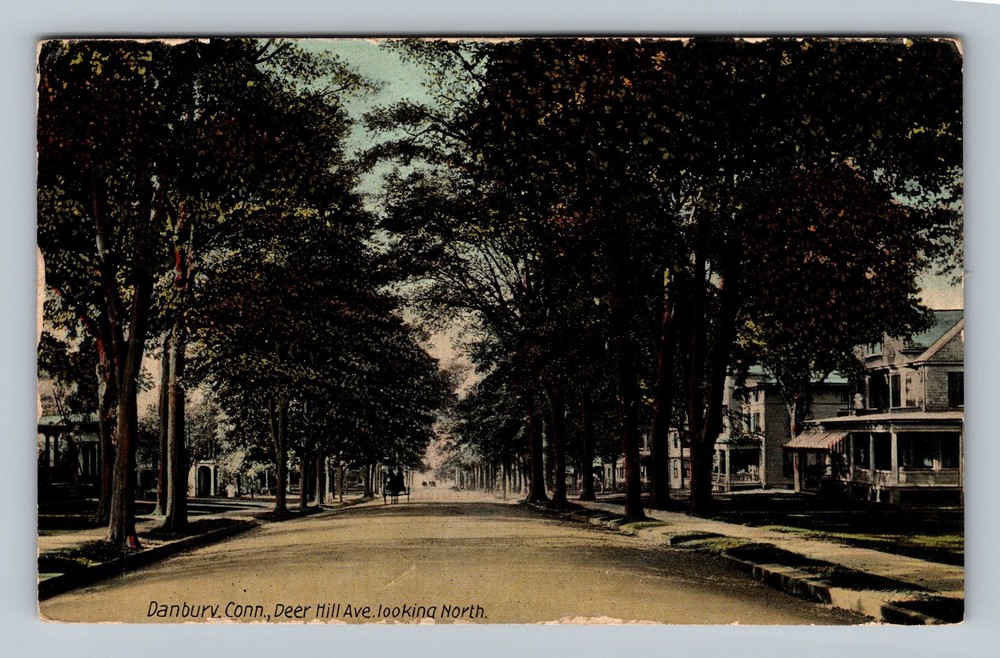 Danbury CT-Connecticut Deer Hill Avenue Looking North Vintage c1912 Postcard PC