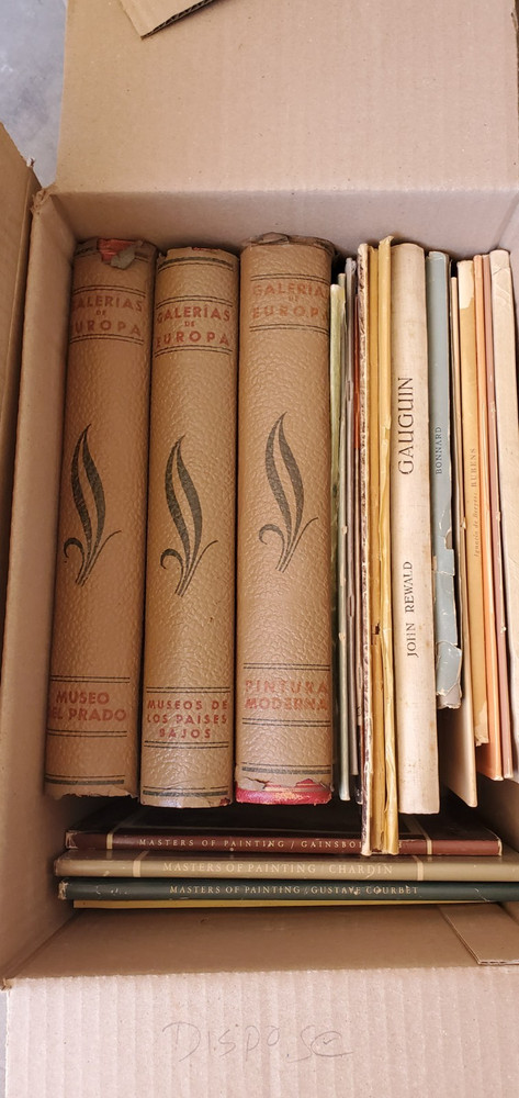 Art Book Lot  Vintage Shelf Home Decor Staging Set Old Books
