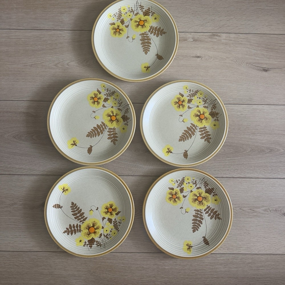 Vintage Set of 5 Mikasa Nature's Song Fernflower Dinner Plates C1051 Japan 10.5”