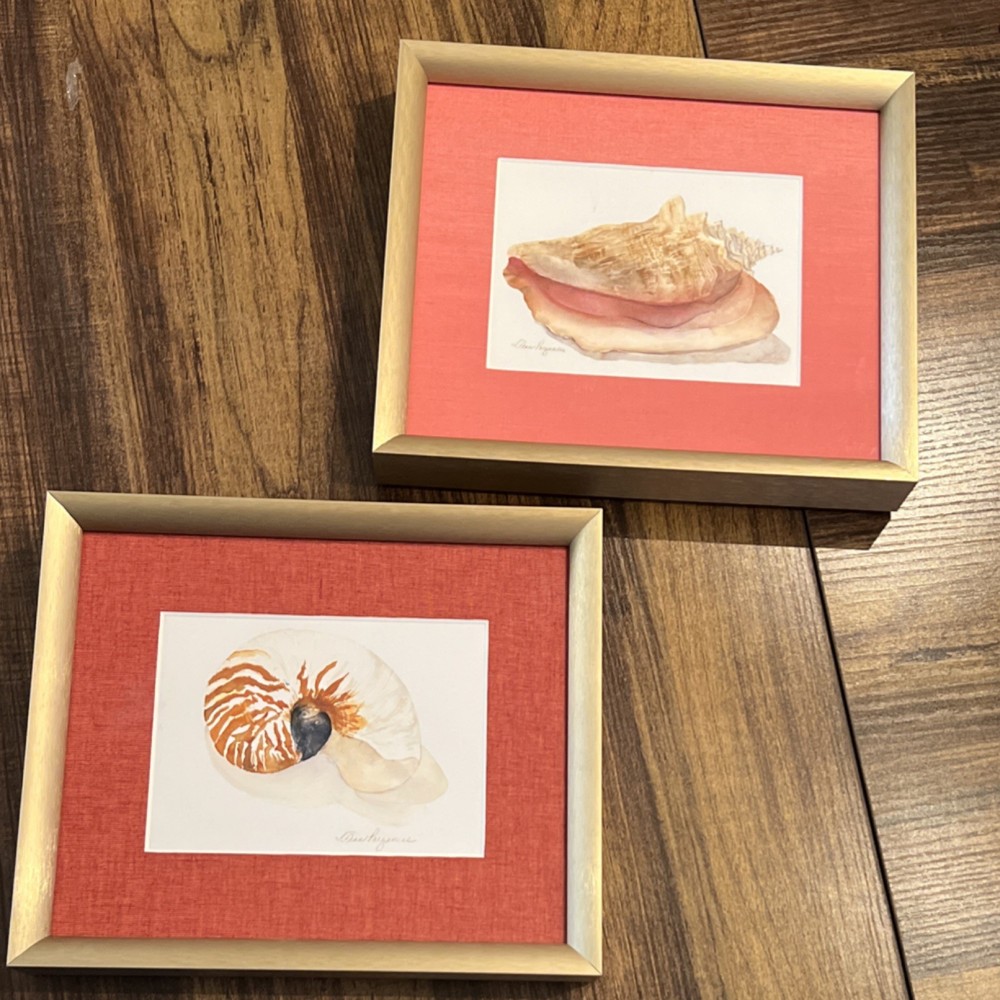 Pam Puzanue Framed Watercolor Seashell Paintings Set of 2