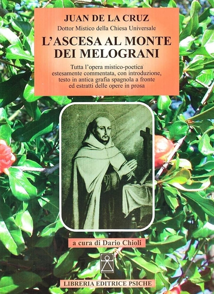 Giovanni della Croce (san) D. Chi L'ascesa al monte dei melogr (Various Formats)Another great item from Rarewaves USA | Free delivery!