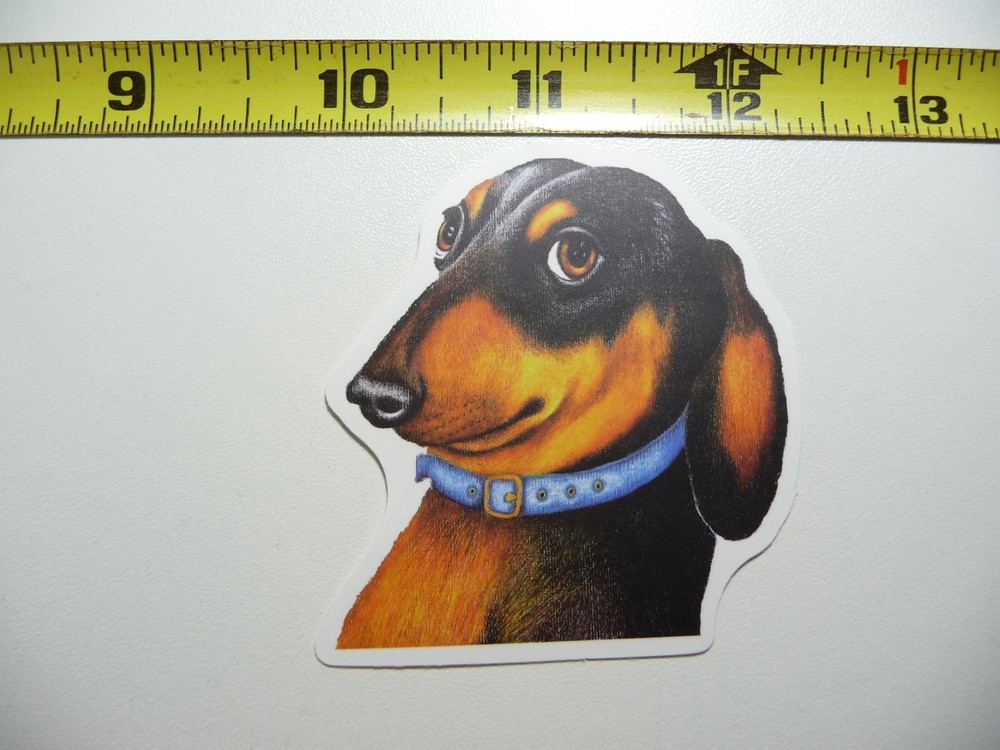Sly Cool Dachshund Dog Collar Decal Sticker for Wiener Lovers