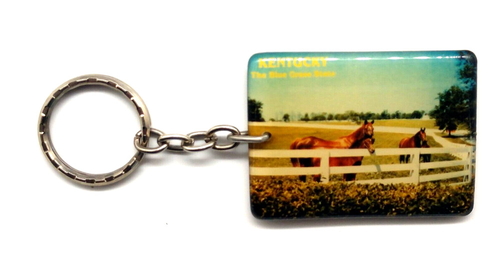 Vintage Kentucky The Blue Grass State 