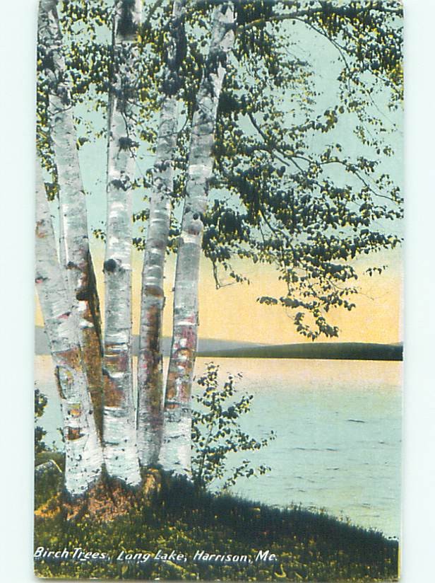 Divided-back LAKE SCENE Harrison Maine ME m/09 AE4846