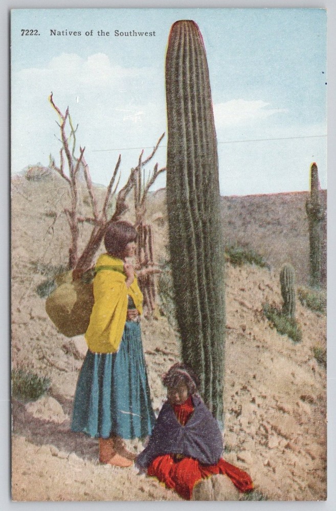 Vintage Southwest Natives Saguaro Cactus Postcard - Early 1900s Desert Scene