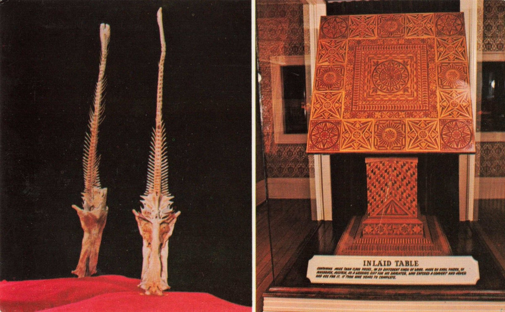 Ripley's Believe It Or Not - Inlaid Table - St Augustine Florida FL Postcard