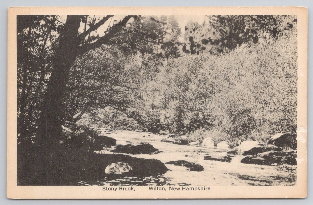 Stony Brook Wilton NH Real Photo Postcard RPPC W.I. Durgin Druggist