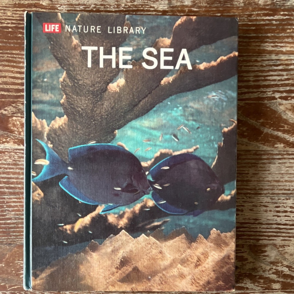 Life Nature Library The Sea Hardcover Time Inc. Korn Edy Hahnen