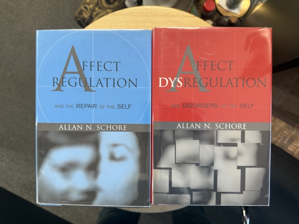 Affect Dysregulation & Affect Regulation 2 Volumes (Hardcover)