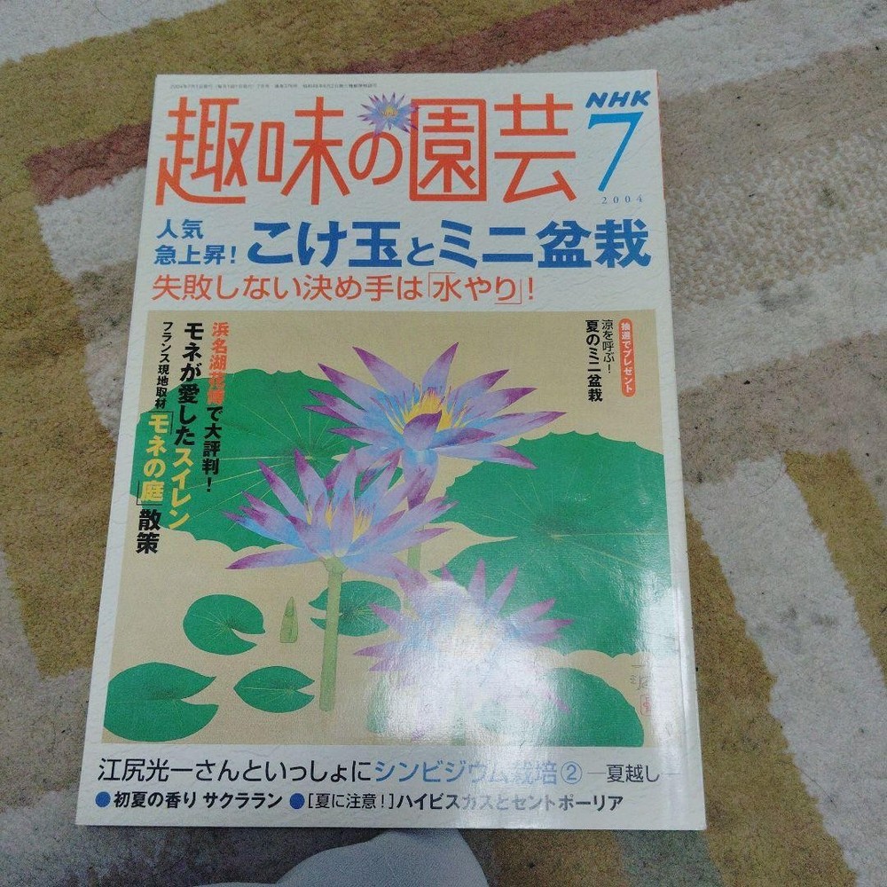 Hobby Gardening NHK July 2004 Issue Vol.376 Moss Balls Mini Bonsai Jewelry Speci