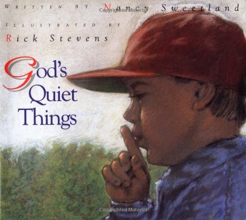 God's Quiet Things - Paperback By Sweetland, Nancy - VERY GOOD