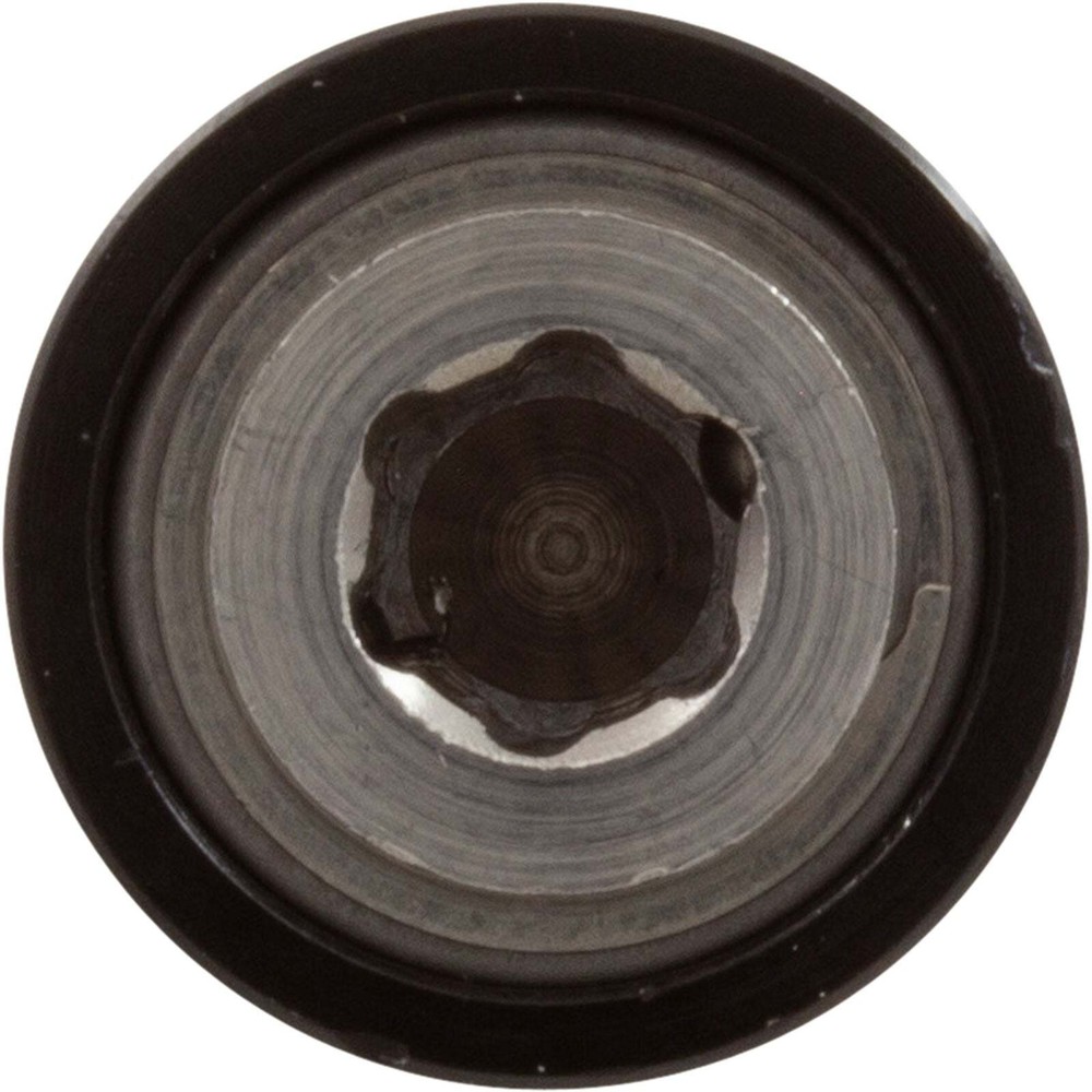 Head Attachment, Nemo Power Tools, 1/4