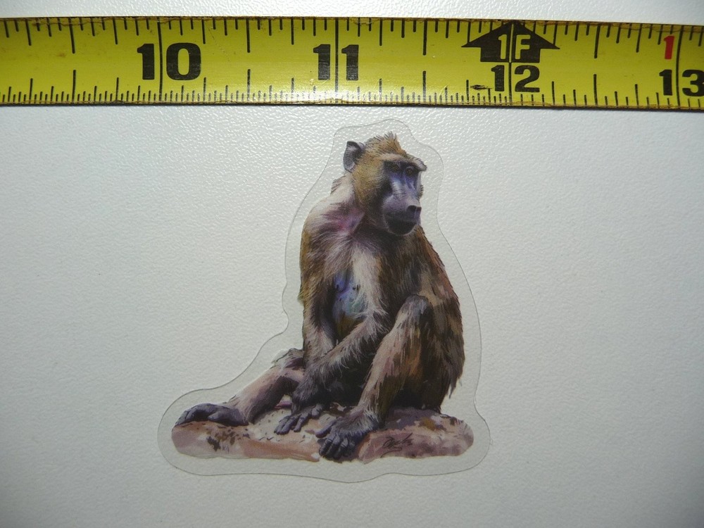 Colorful Cute Hamadryas Baboon Wildlife Zoo Sticker Decal