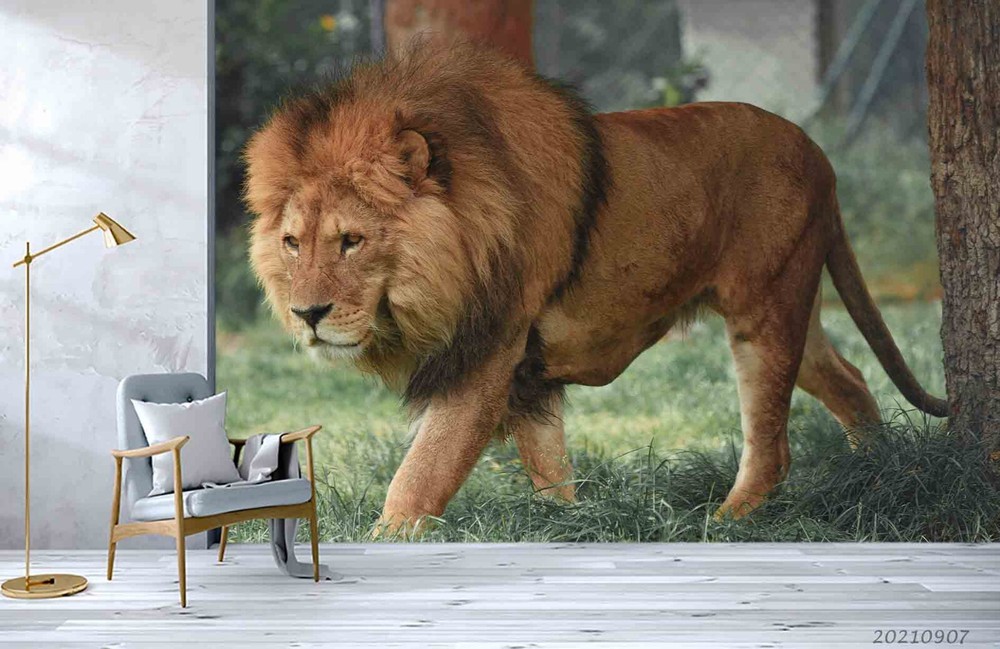 3D Green Forest Lion Brown Wallpaper Murals & Sticker for Walls