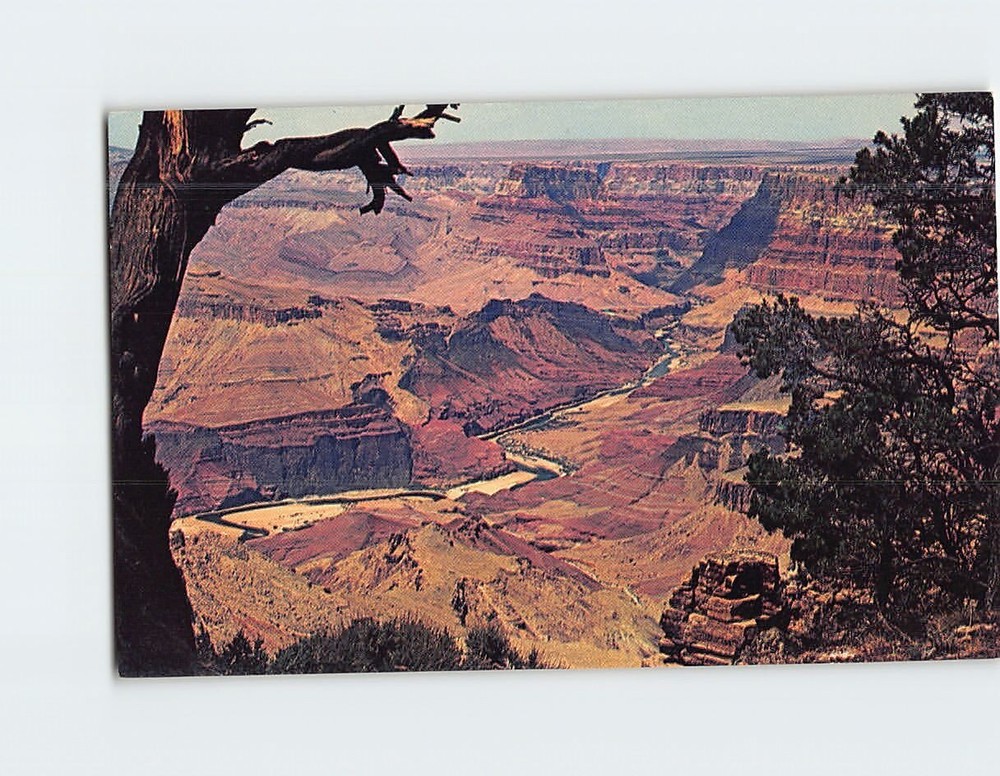 Postcard Grand Canyon National Park Arizona USA