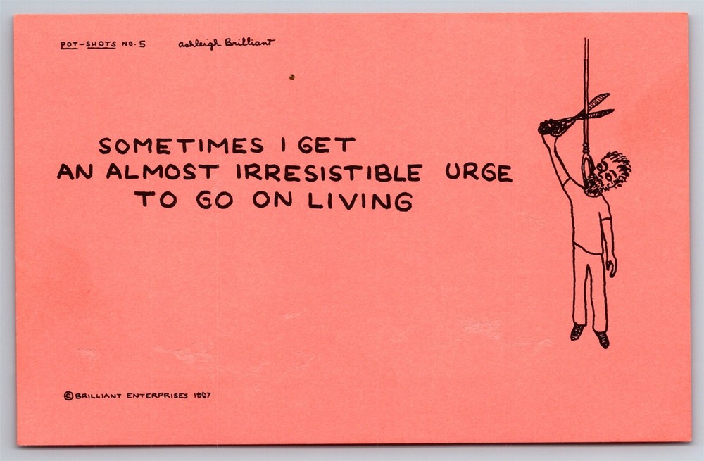 Pot Shots Postcard Ashleigh Brilliant #5 Sometimes I Get An... Humor Signed