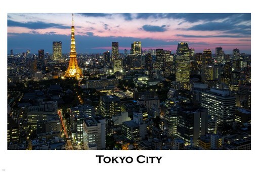 TOKYO cityscape POSTER 20x30 illuminated VIOLET-PINK sky rare AWESOME new!
