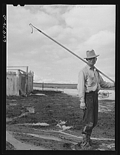 McCone County,Montana,MT,Farm Security Administration,John Vachon,FSA,19