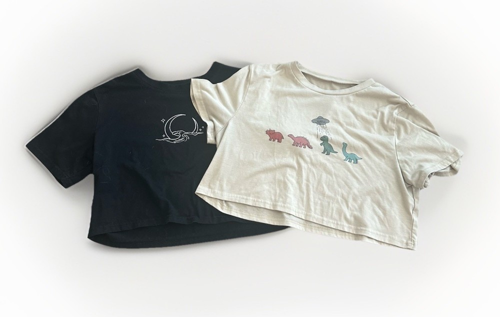 Lot Of 2 Women Cropped T-Shirt Tops Size M