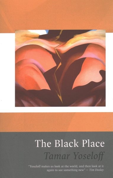 Black Place, Paperback by Yoseloff, Tamar, Like New Used, Free shipping in th...