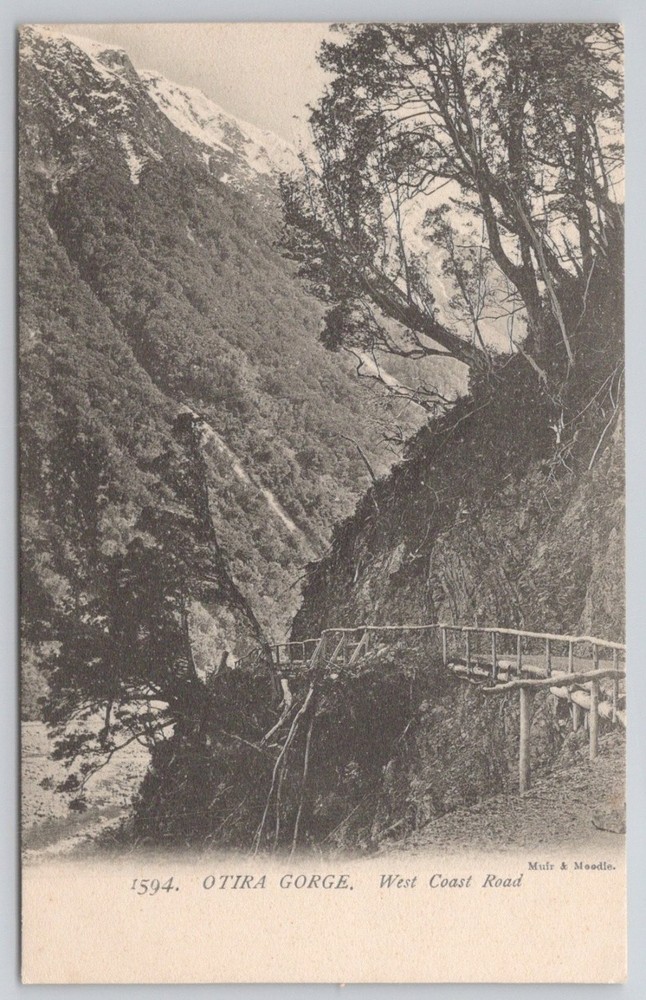 Otira Gorge West Coast Road New Zealand Muir & Moodie Postcard c1910s