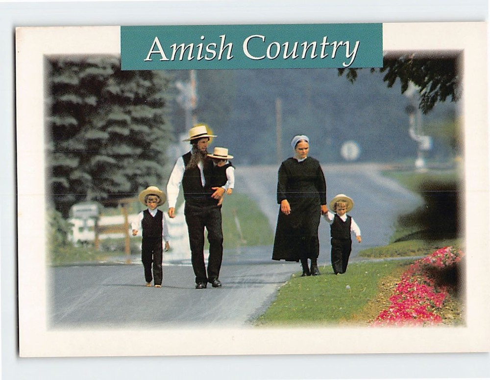 Postcard Amish family Amish Country Pennsylvania USA