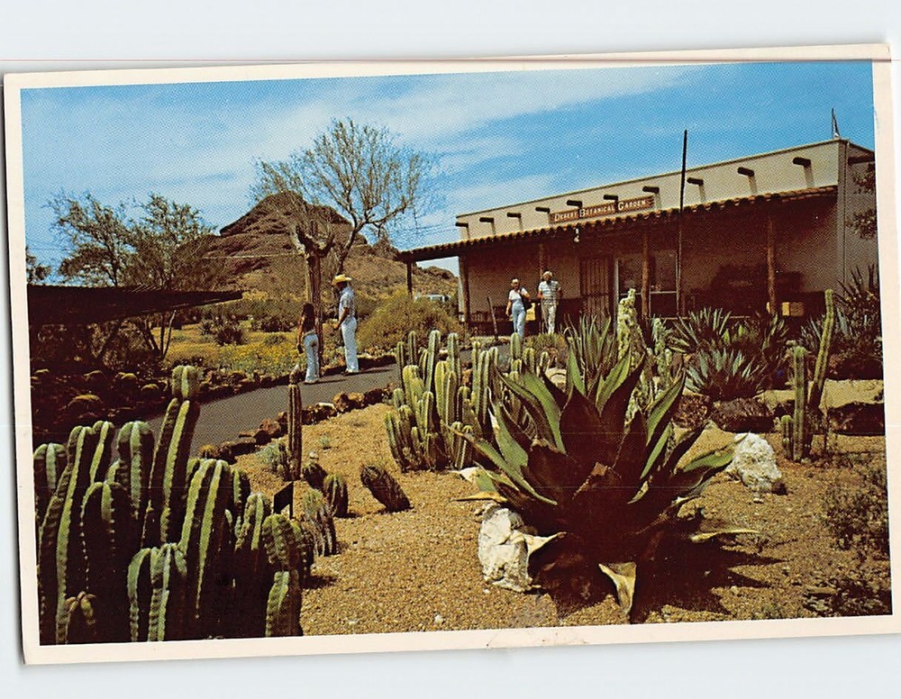 Postcard Desert Botanical Garden Phoenix Arizona USA
