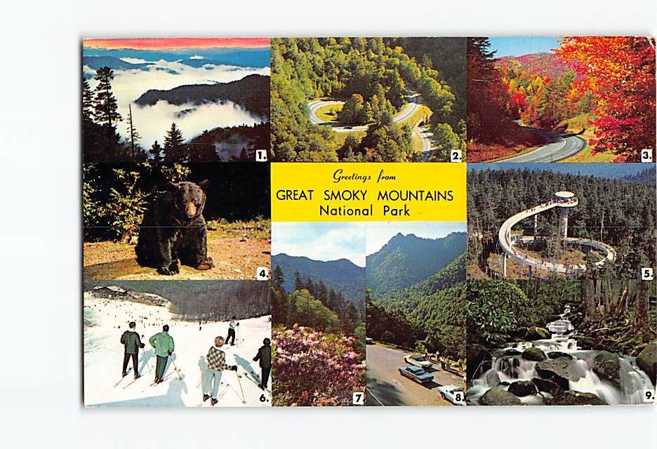 Postcard Greetings from Great Smoky Mountains National Park USA