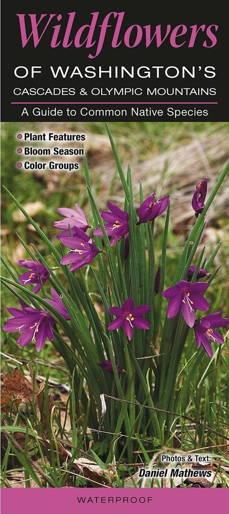 Wildflowers of Washington’s Cascade and Olympic Mountains (Quick Reference Guide