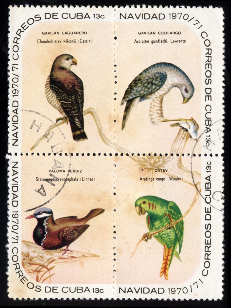 7867.Decoration Poster.Home Room wall interior art design.Cuba Correos.Birds