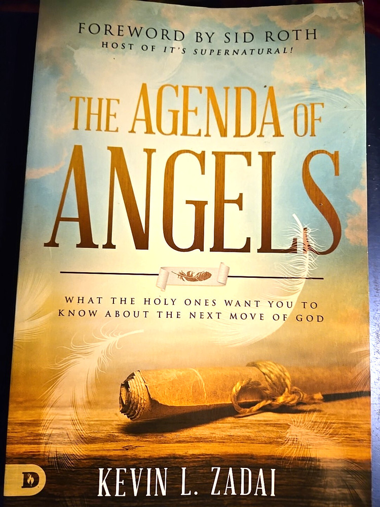 The Agenda of Angels: What the Holy Ones Want You to Know About the Next Move, Z