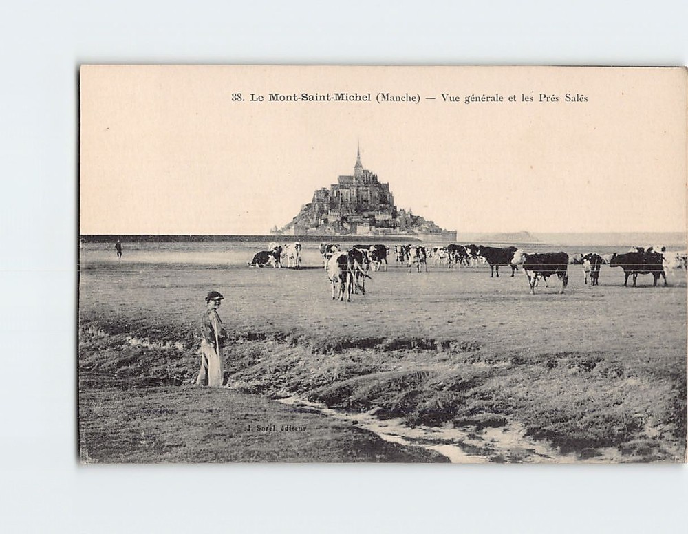 Postcard Vue générale et les Prés Salés Le Mont Saint Michel France