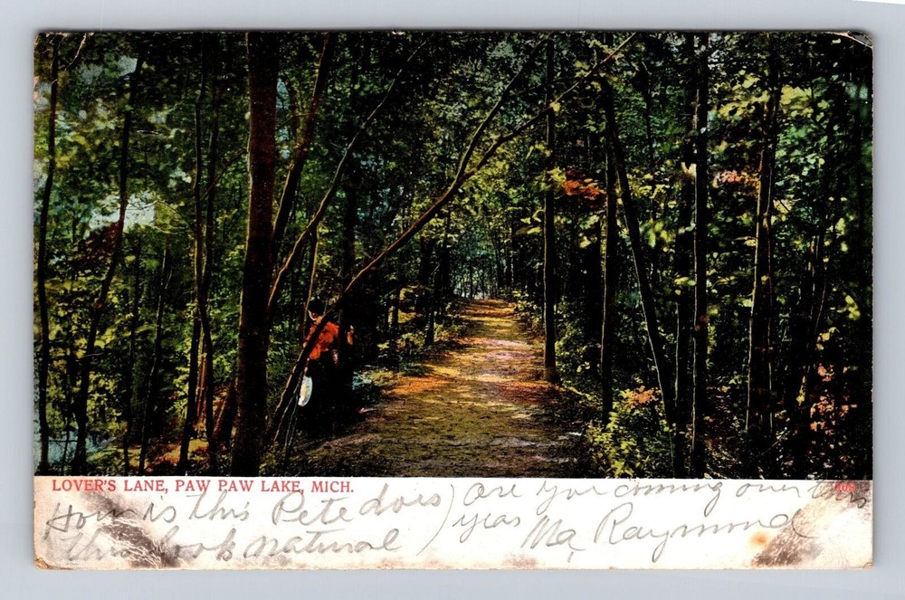 Paw Paw Lake MI-Michigan, Lovers Lane, Antique Vintage c1907 Souvenir Postcard