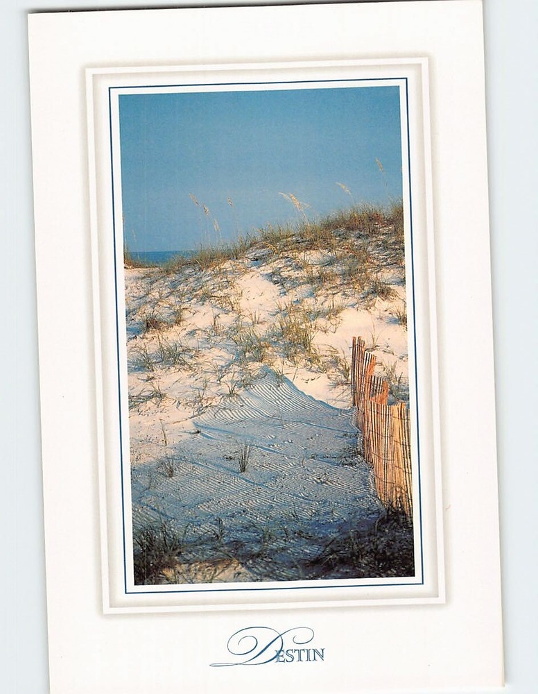 Postcard Sea Oats sugar white sand dunes and blue sky Destin Florida USA