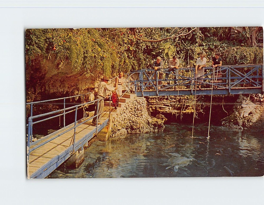 Postcard Devil's Hole Bermuda British Overseas Territory