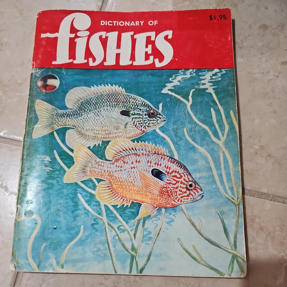 A Dictionary of Fishes by Allyn, Rube 1981 Great Illustrations