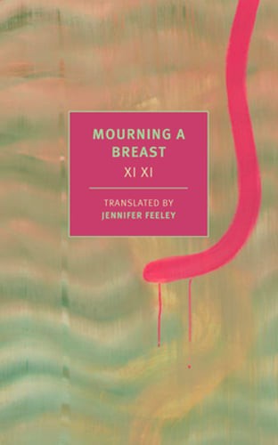 Mourning a Breast by XI XI: Used