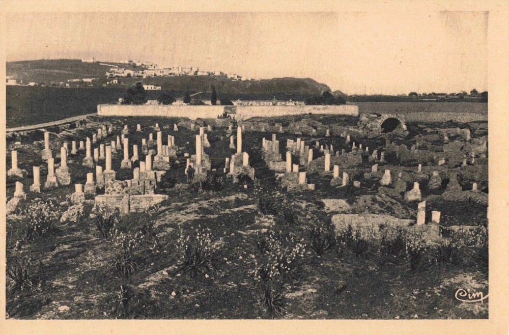 Carthage Tunisia, Ruins Damous El Karita Basilica, Vintage Postcard