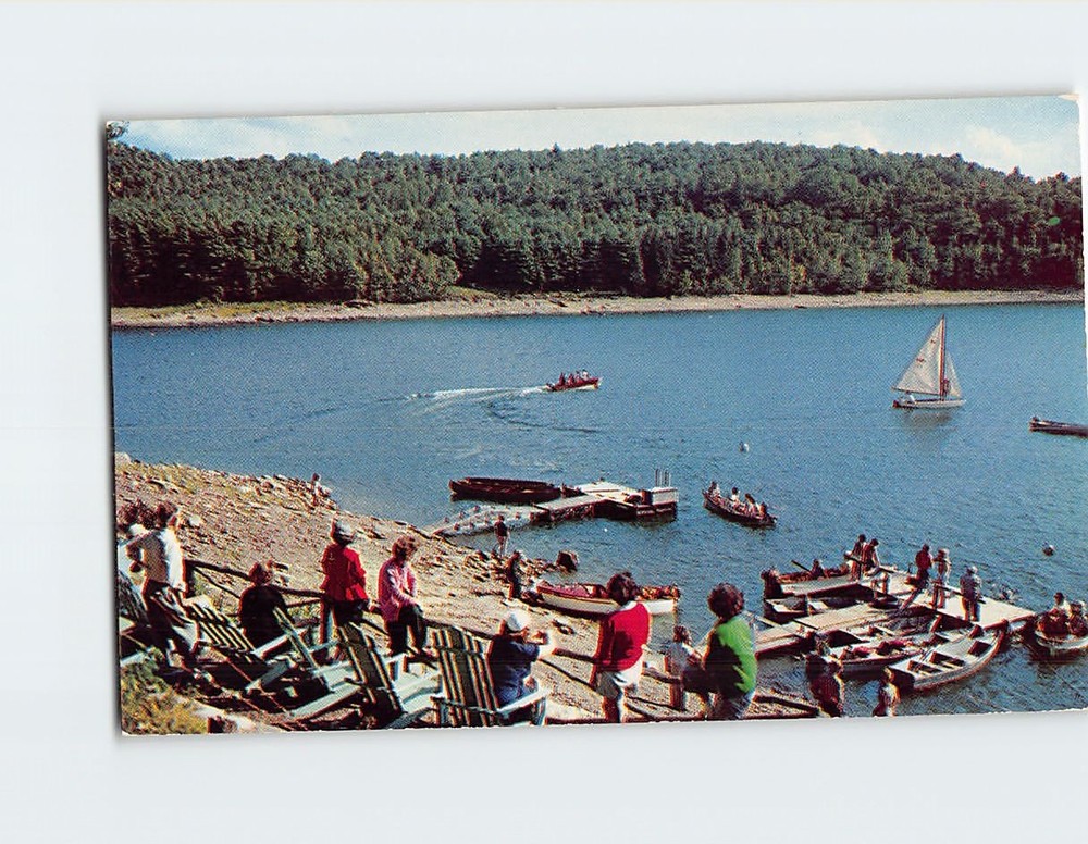 Postcard Lakeside Pines Lake Wallenpaupack Pike Pennsylvania USA