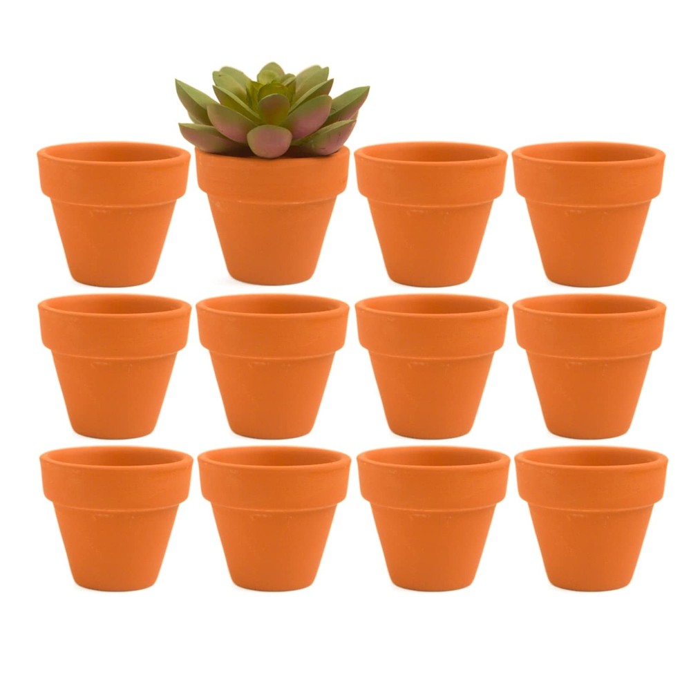Mini Terracotta Clay Flower Pots 2 inch with Drainage Holes Small,