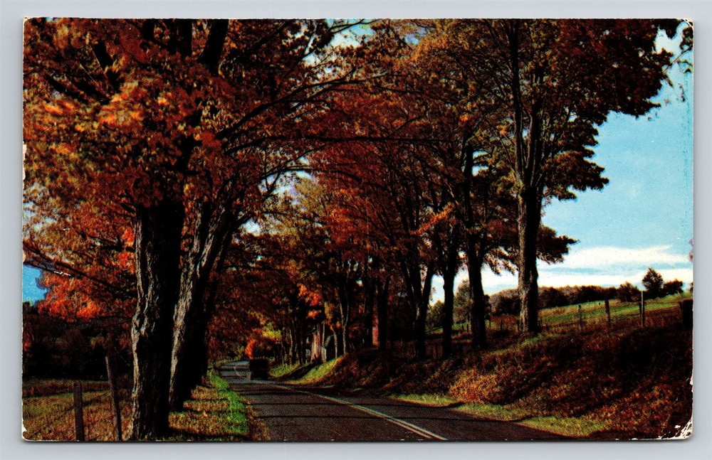 Greetings from Middletown New York NY Vtg Postcard Scenic View Postmark 1950s