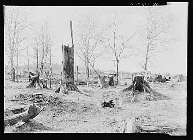 Tipler,Wisconsin,WI,Florence County,Farm Security Administration,1937,FSA,5 1