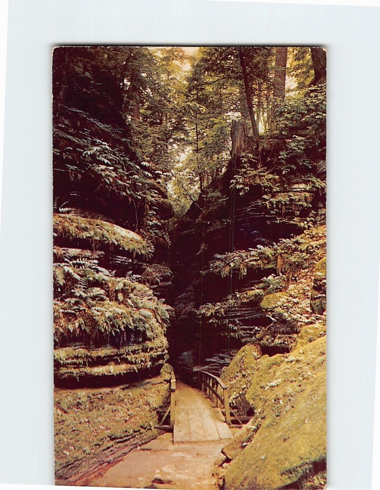 Postcard In Cold Water Canyon Wisconsin Dells Wisconsin USA