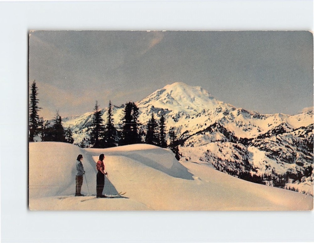 Postcard Mount Rainier Washington USA